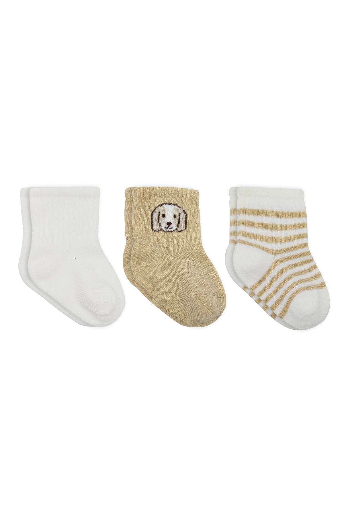 Bistyle Dog Boy 3'lü Penye Soket Çorap 10134 Ekru