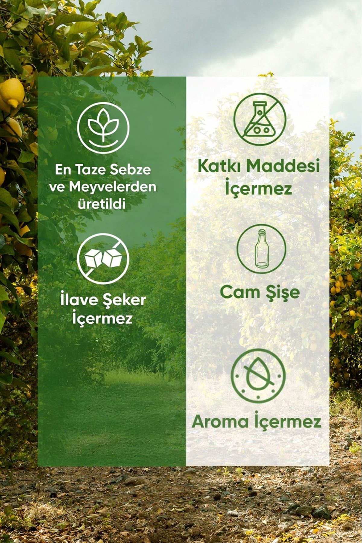 Organuca 3lü Immunıty Shot 60ml (C vitamini + Baobab 1000 mg)