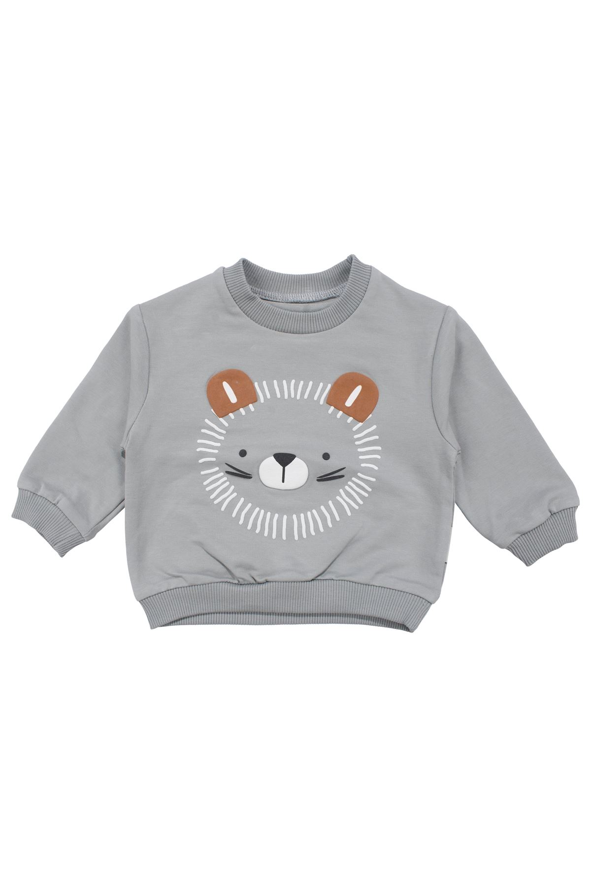 Erkek Bebek Gri Aslan Desenli 2'li Takım