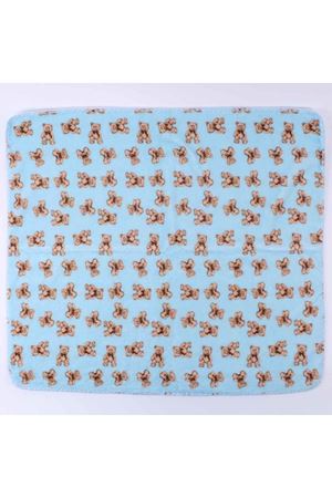 Mavi Ayıcık Desenli Polar Battaniye