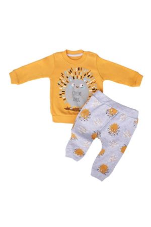 Erkek Bebek Gri Hardal Kirpili 2'li Takım