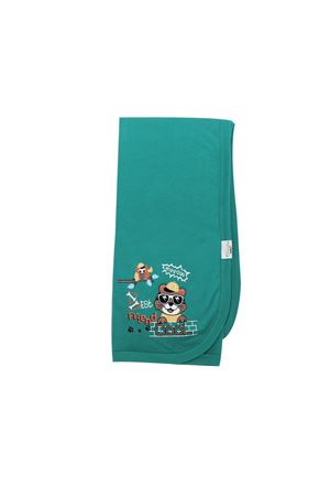 Erkek Bebek Yeşil Gözlüklü Kedili Pamuklu Penye Battaniye 80x80