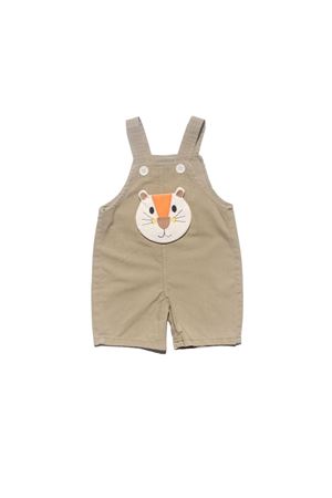 Erkek Bebek Yeşil Kedili Salopet