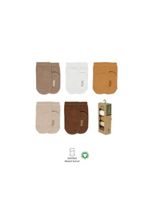 Bistyle 5'li Penye Soket Kutulu Basic Çorap 10131 Asorti
