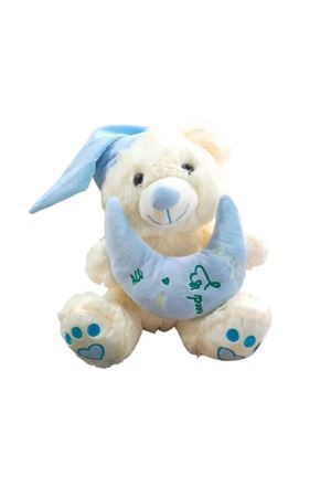 Halley Yastıklı Peluş Ayı 35 Cm 62911