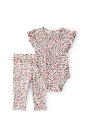 Carters Kız Bebek Body Pantolon Set 1U269810 Renkli