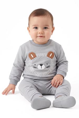 Erkek Bebek Gri Aslan Desenli 2'li Takım