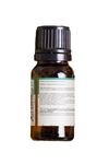 OG Natural Okaliptus Yağı 10 ml