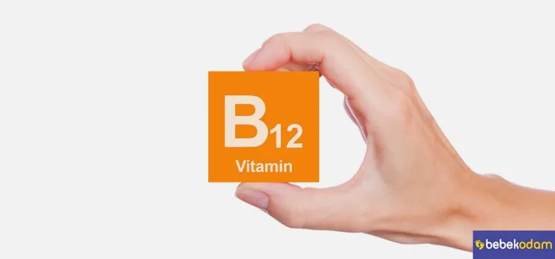 B12 Vitamininin Faydaları Nelerdir?