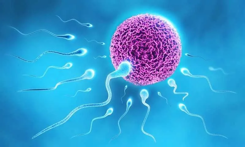 Sperm Sayısını Azaltan 6 Etken