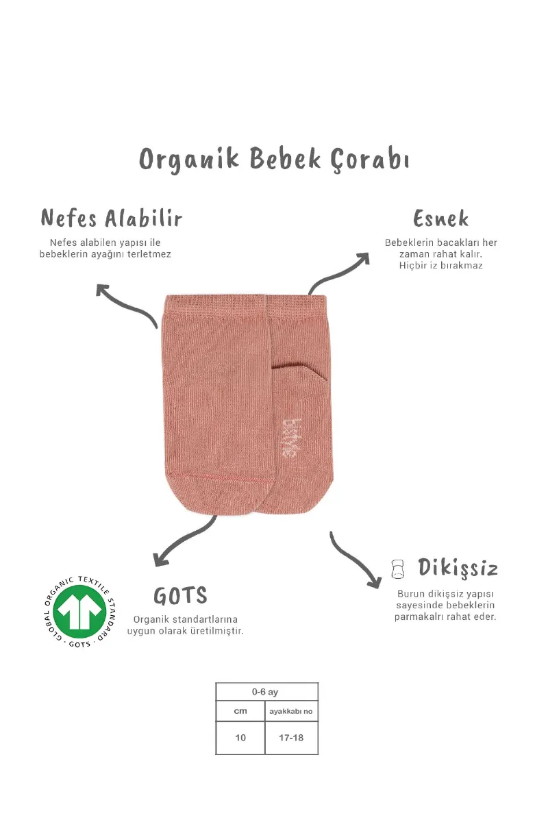 Bistyle 5'li Penye Soket Kutulu Basic Çorap 10131 Pudra
