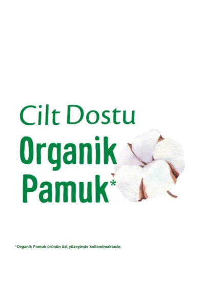 Molped Pure & Soft Normal Ped Süper Eko 24 Adet