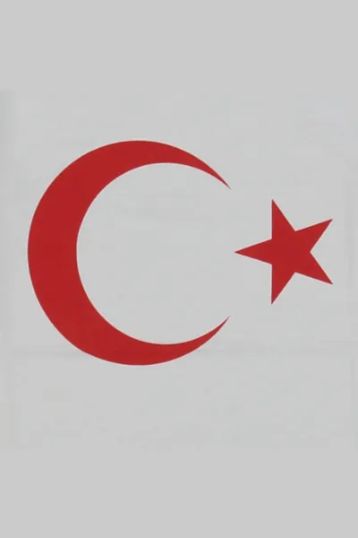 Unisex Beyaz Kırmızı Ay Yıldız Kısa Kollu Bayrak Tişört