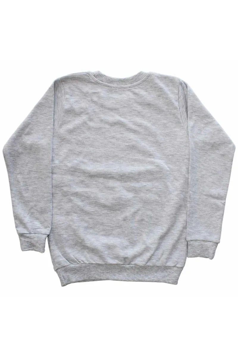 Erkek Çocuk Gri Adventure Baskılı Tek Üst Sweat