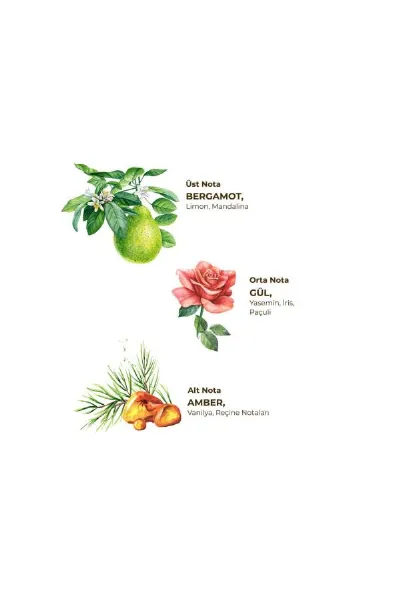 Eyüp Sabri Tuncer Kolonya Pet Şişe Sprey 150 ml Amber