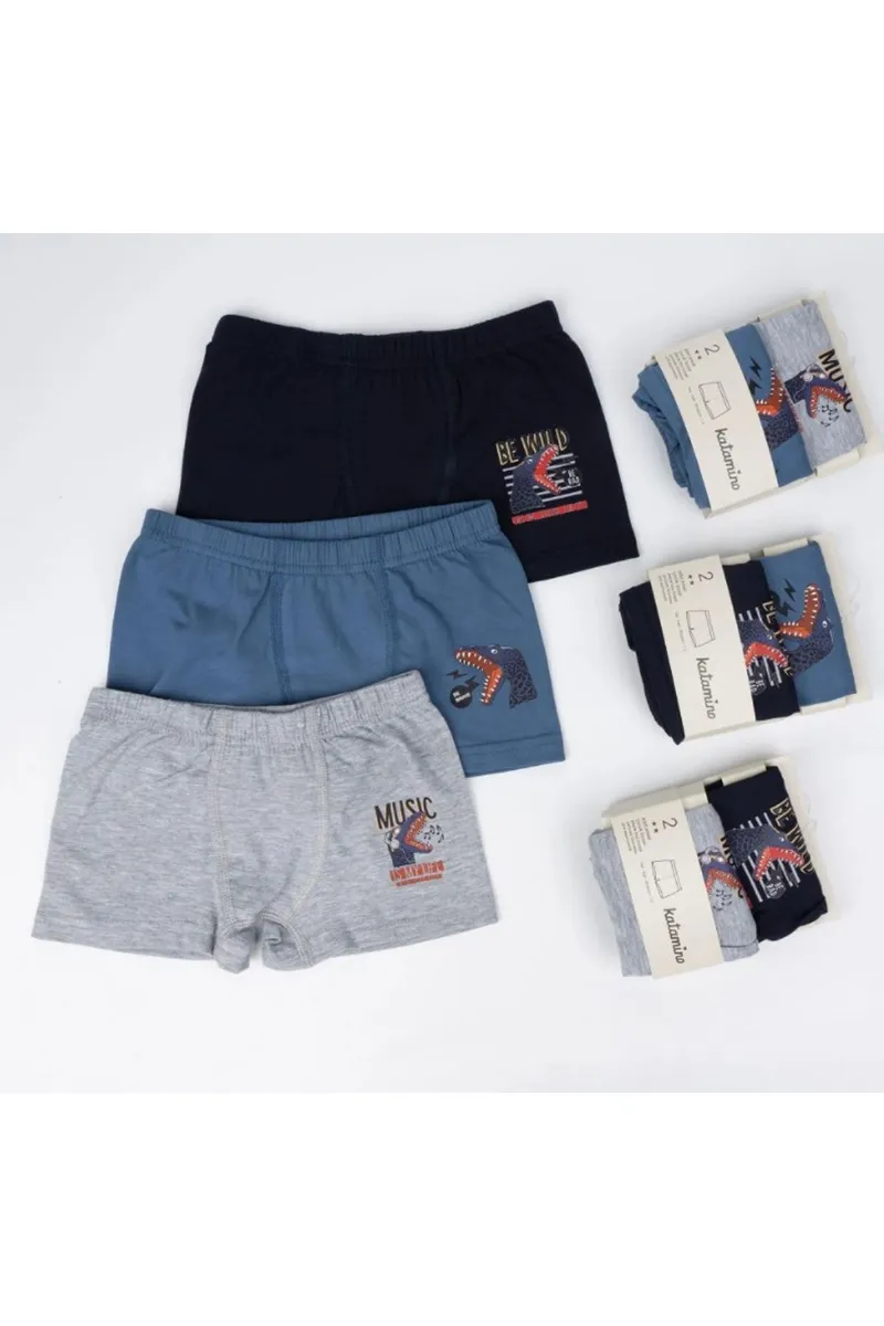 Katamino Winden 2li Erkek Boxer K128638 Asorti