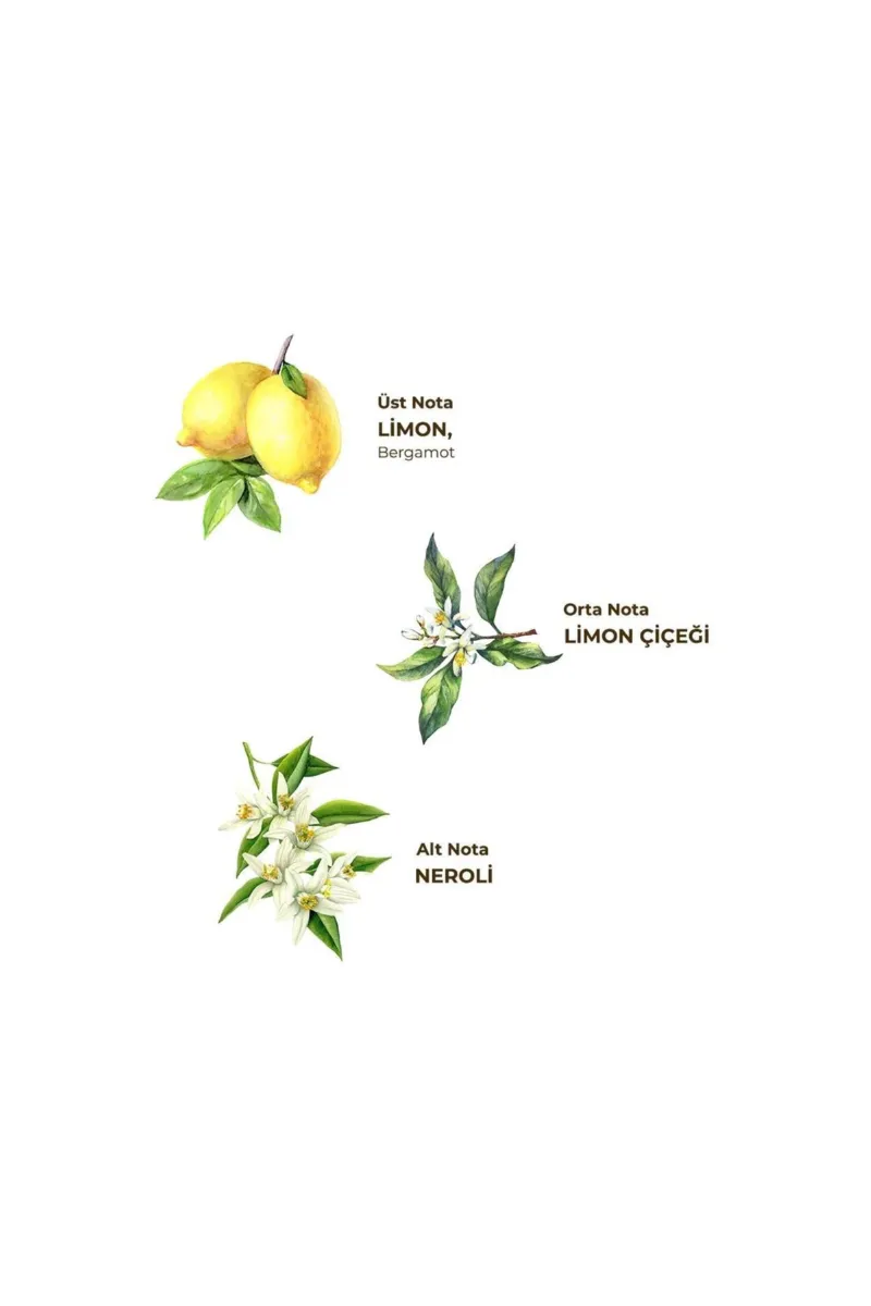 Eyüp Sabri Tuncer Kolonya Pet Şişe Sprey 150 ml Limon
