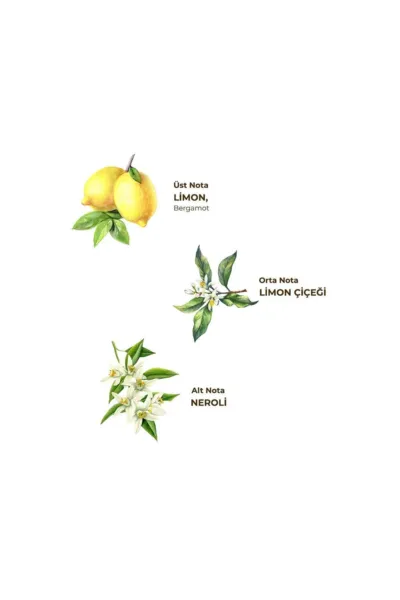 Eyüp Sabri Tuncer Kolonya Pet Şişe Sprey 150 ml Limon