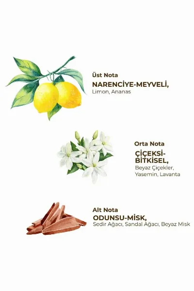 Eyüp Sabri Tuncer Kadın Roll On Deodorant 75 ml Fresh