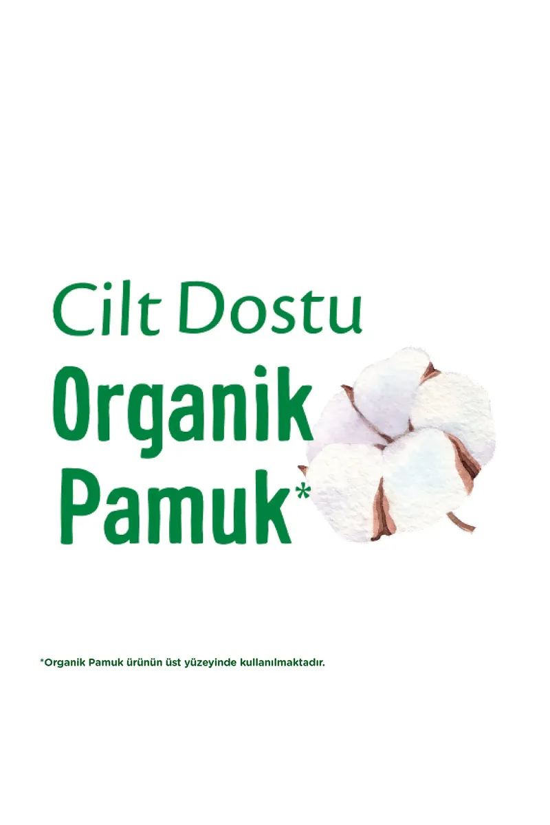 Molped Pure & Soft Normal Ped Süper Eko 24 Adet