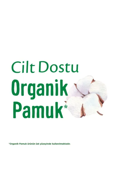 Molped Pure & Soft Normal Ped Süper Eko 24 Adet