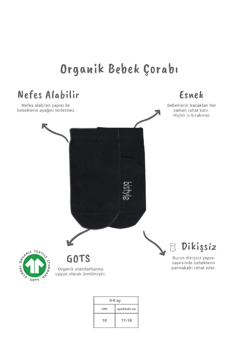 Bistyle 5'li Penye Soket Kutulu Basic Çorap 10131 Gri