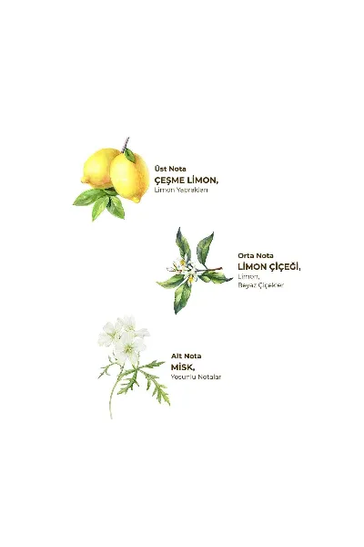 Eyüp Sabri Tuncer Kolonya Pet Şişe Sprey 150 ml Çeşme Limonu