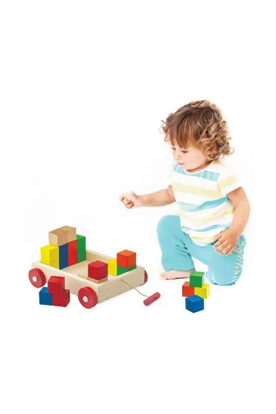 PlayWood Ahşap Renkli Küp Bloklu Araba 312