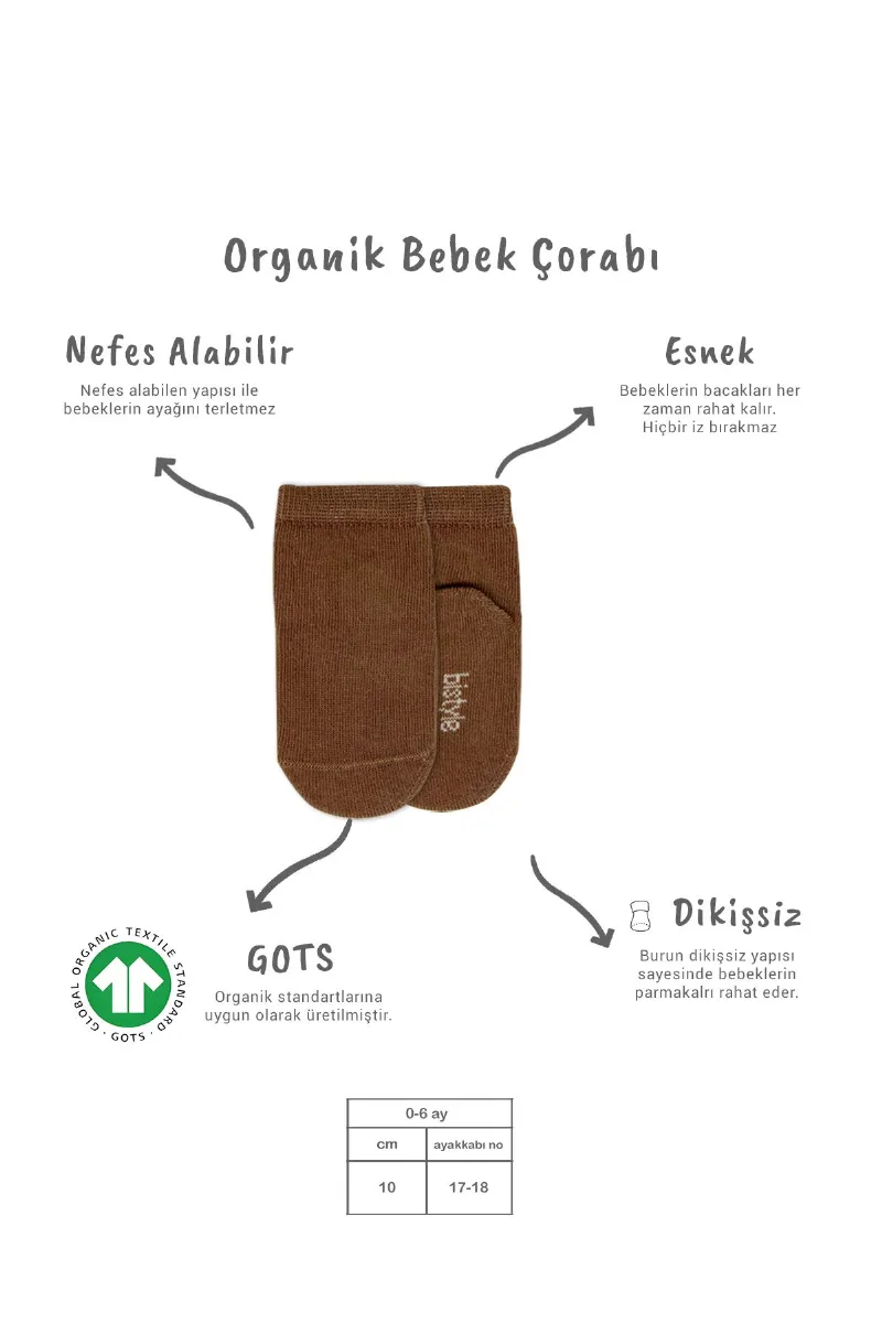 Bistyle 5'li Penye Soket Kutulu Basic Çorap 10131 Bej