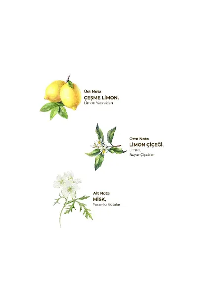 Eyüp Sabri Tuncer Kolonya Pet Şişe Sprey 150 ml Çeşme Limonu